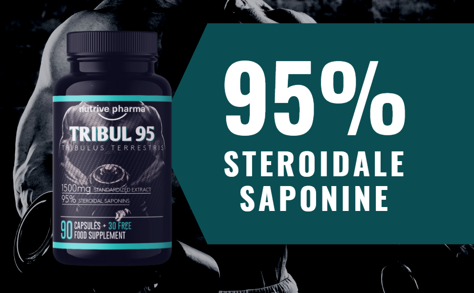 Auf 95% Saponine Standardisiert